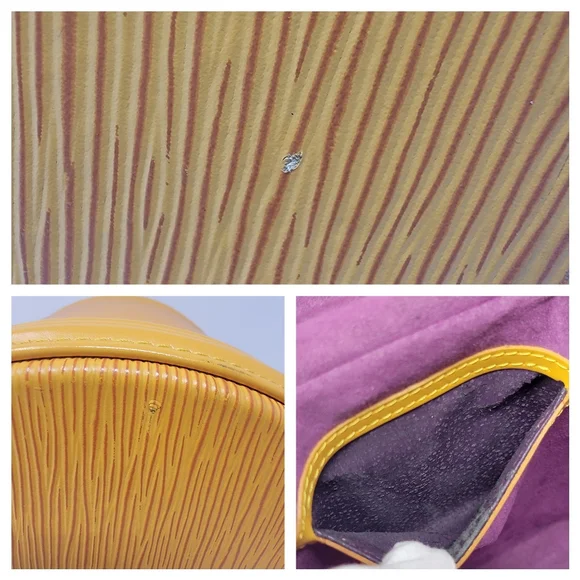 LOUIS VUITTON Tassil Yellow Epi Leather Cannes Vanity Bag